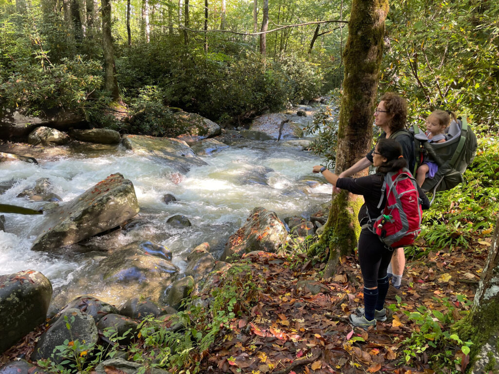 Porter's Creek Trail Great Smoky National Park