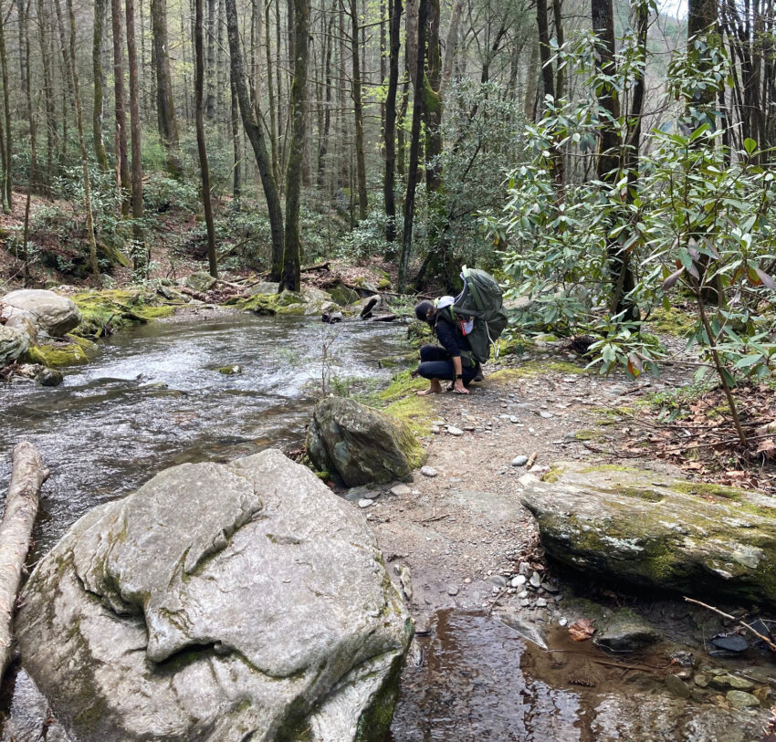 Doughton Recreational Area Basin Creek Trail