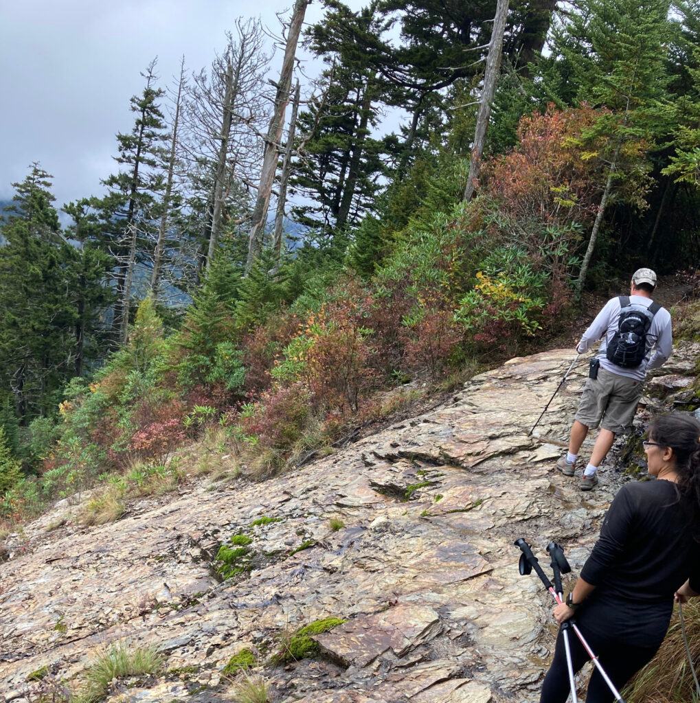 Alum Cave Trail Mount LeConte Great Smoky National Park