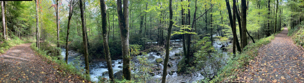 Porter's Creek Trail Great Smoky National Park