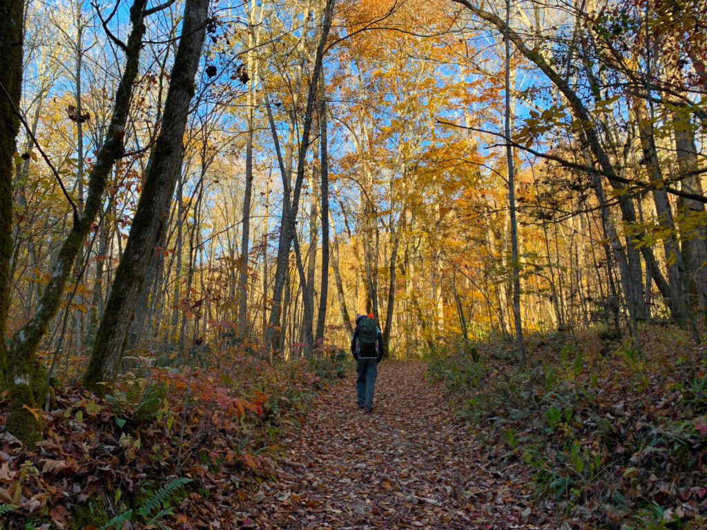 Mingus Creek Trail