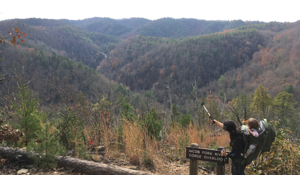 Overlook Stone Mountain State Park