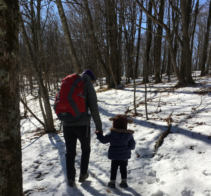 hiking elk state park nc